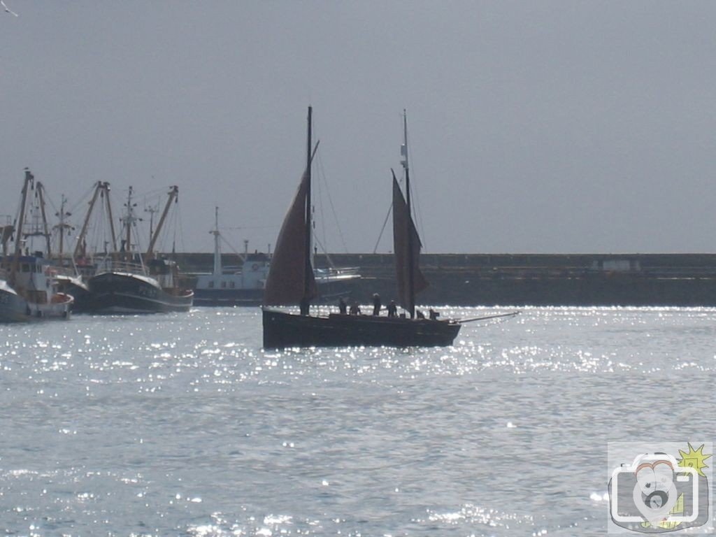 Newlyn Fish Festival 2008