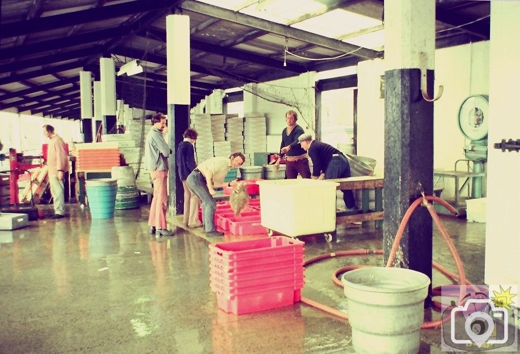 Newlyn Fishmarket 1972