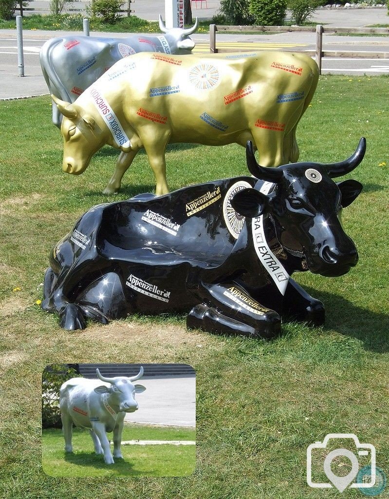non-Moover