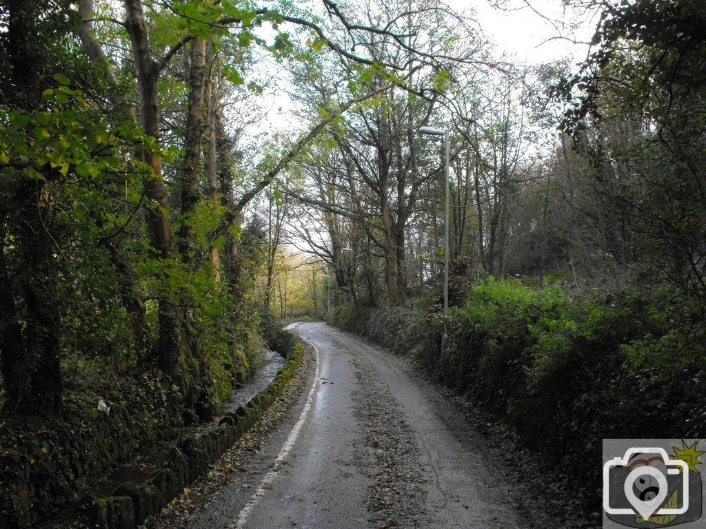 November in the lane (1)