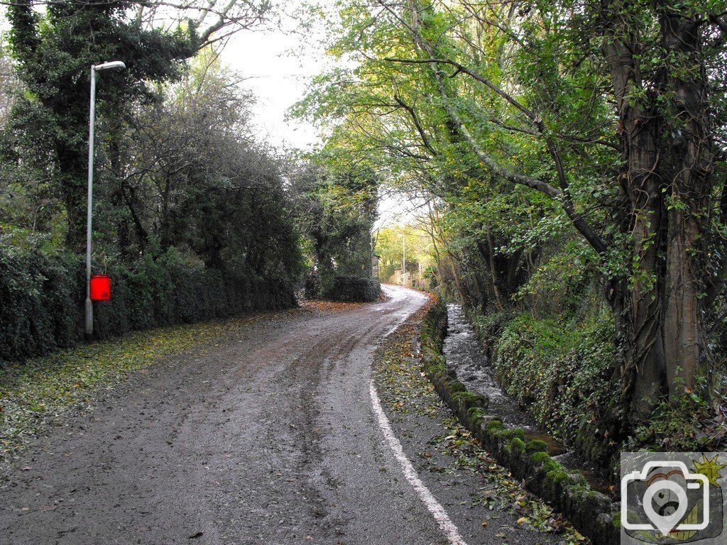 November in the lane (2)