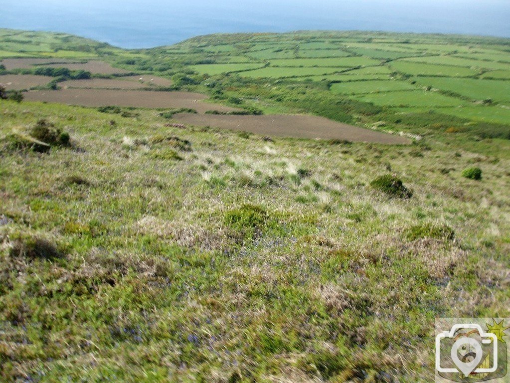 Open-top bus trip, N. Penwith - 03Jun10