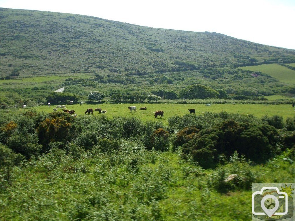 Open-top bus trip, N. Penwith - 03Jun10