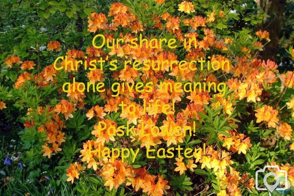 Our share in Christ's resurrection gives meaning to life!