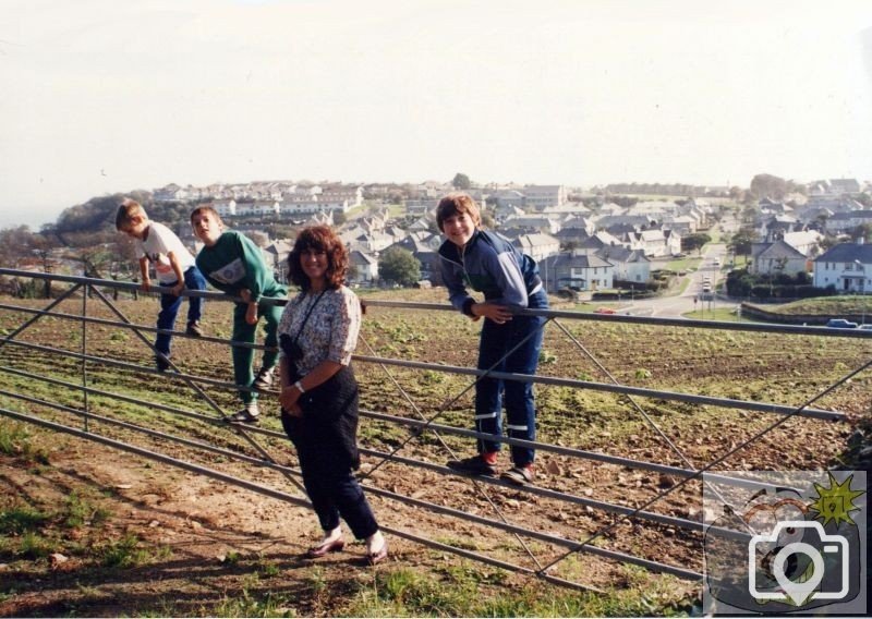 Overlooking Treneere in 1990