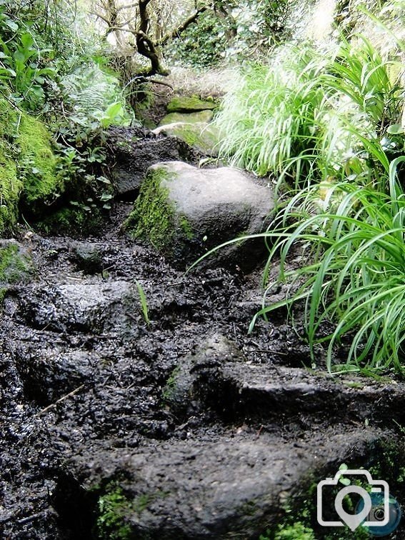 Path