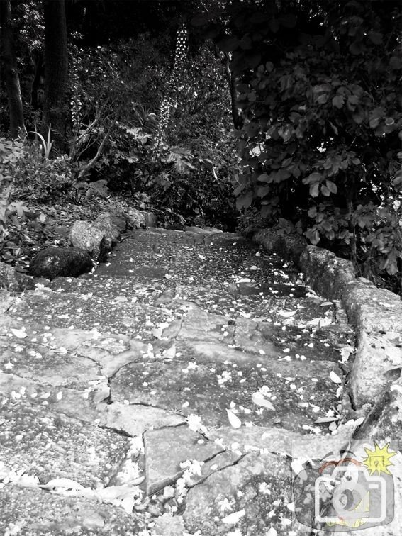 Pathway