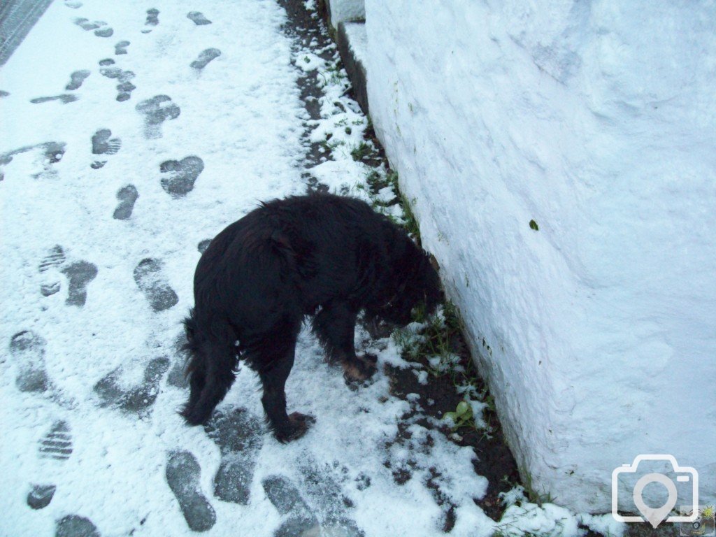 Paul in the Snow