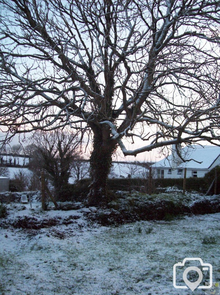 Paul in the Snow