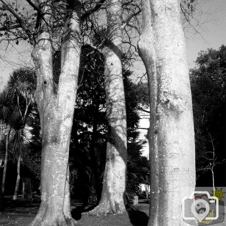 Penlee Park 01