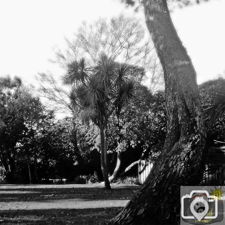 Penlee Park 02