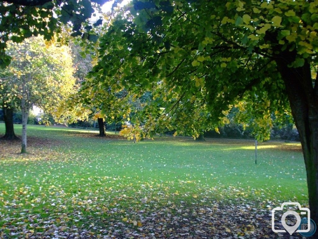 Penlee Park in Autum - 4th November, 2010