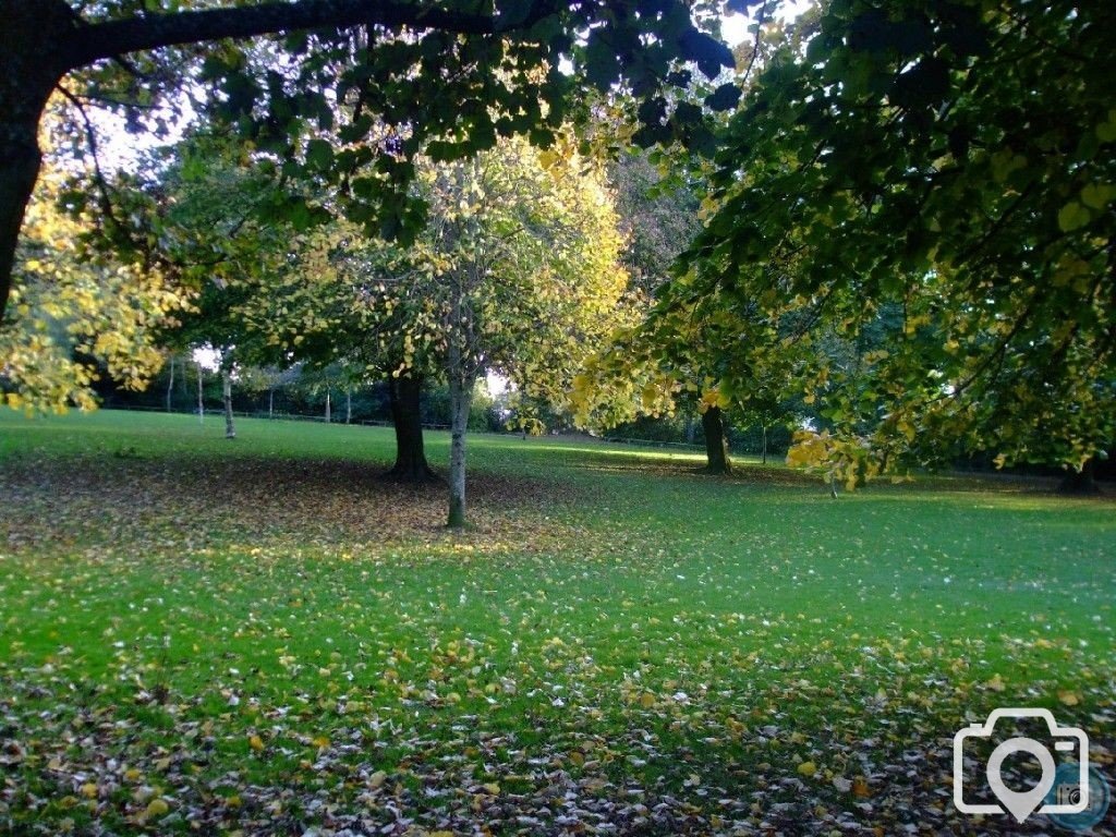 Penlee Park in Autumn - 4th November, 2010