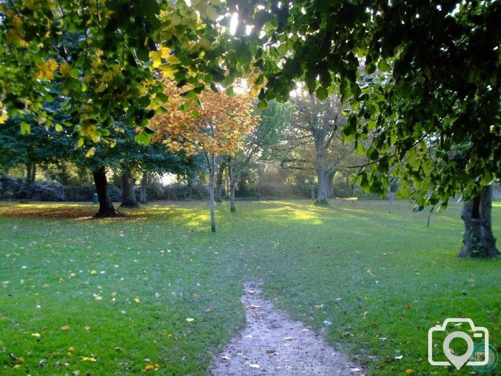 Penlee Park in Autumn - 4th November, 2010