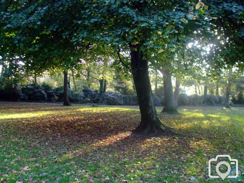 Penlee Park in Autumn - 4th November, 2010