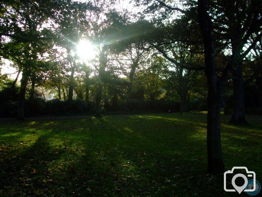 Penlee Park in Autumn - 4th November, 2010