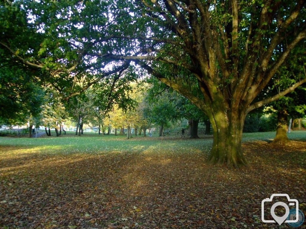 Penlee Park in Autumn - 4th November, 2010