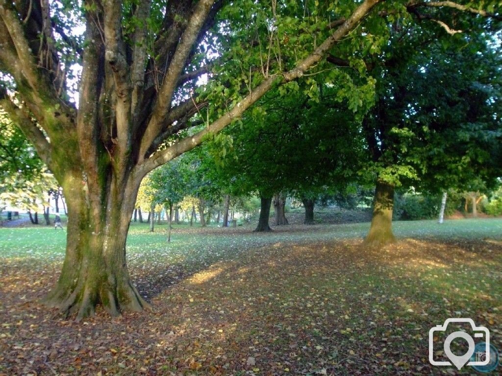 Penlee Park in Autumn - 4th November, 2010