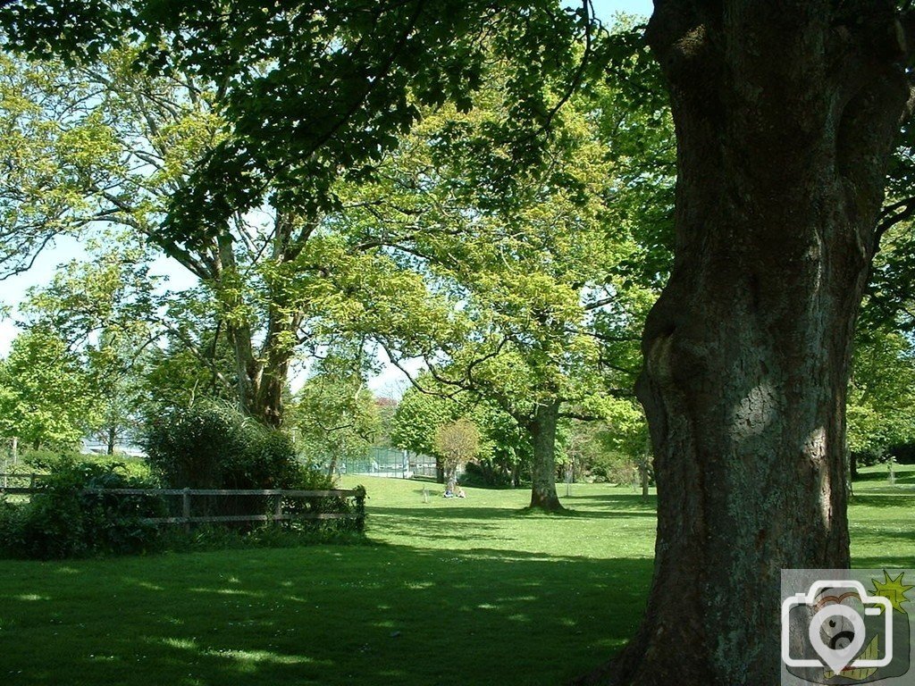 Penlee Park in spring splendour