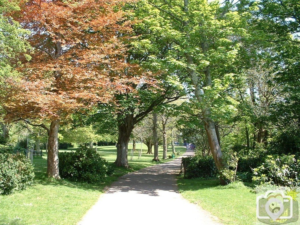 Penlee Park in spring splendour