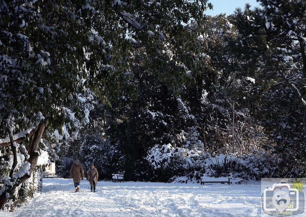 Penlee snow