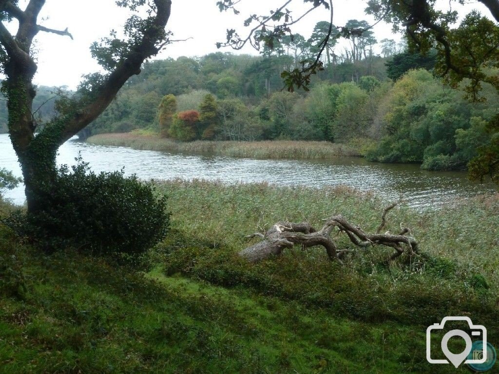 Penrose Walk beside Loe Pool - 22nd October, 2011