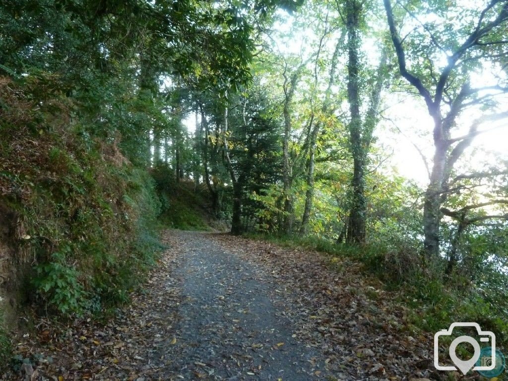 Penrose Walk beside Loe Pool - 22nd October, 2011