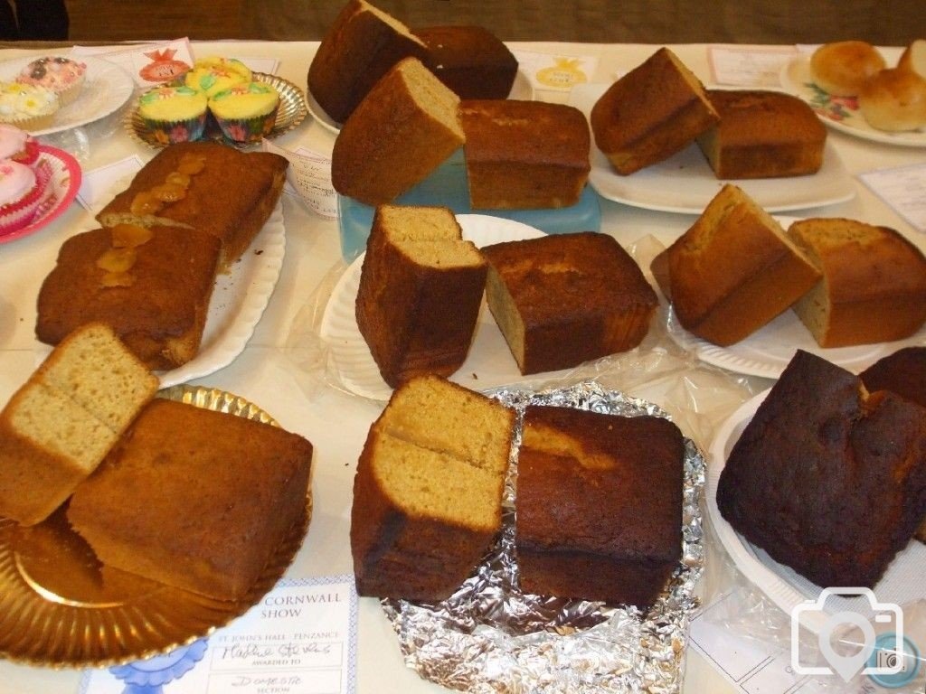 PENZANCE SPRING SHOW - 11-12th MARCH, 2011