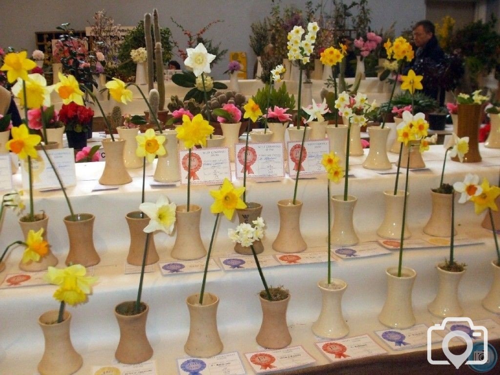 PENZANCE SPRING SHOW - 11-12th MARCH, 2011