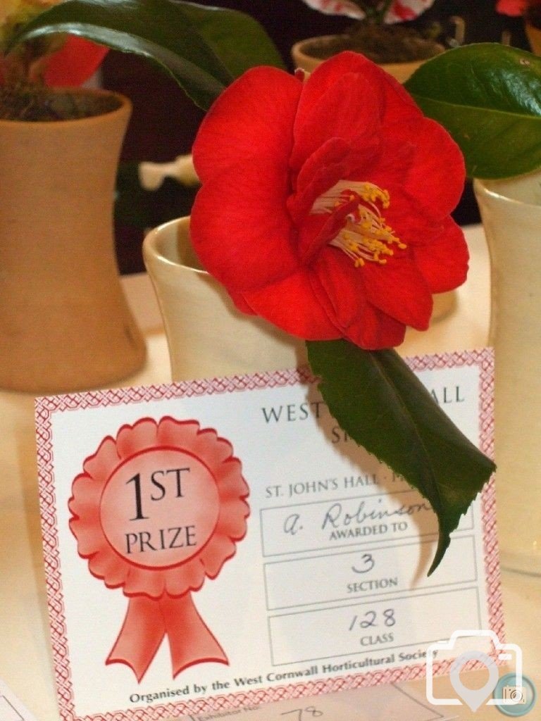 PENZANCE SPRING SHOW - 11-12th MARCH, 2011
