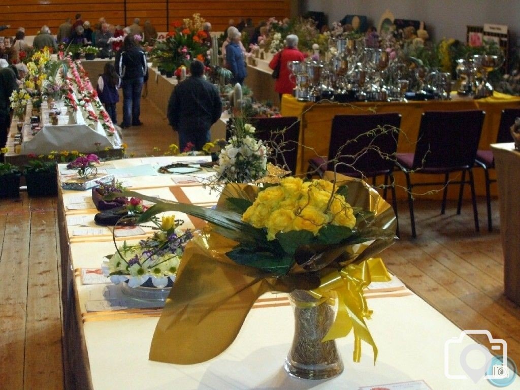 PENZANCE SPRING SHOW - 11-12th MARCH, 2011