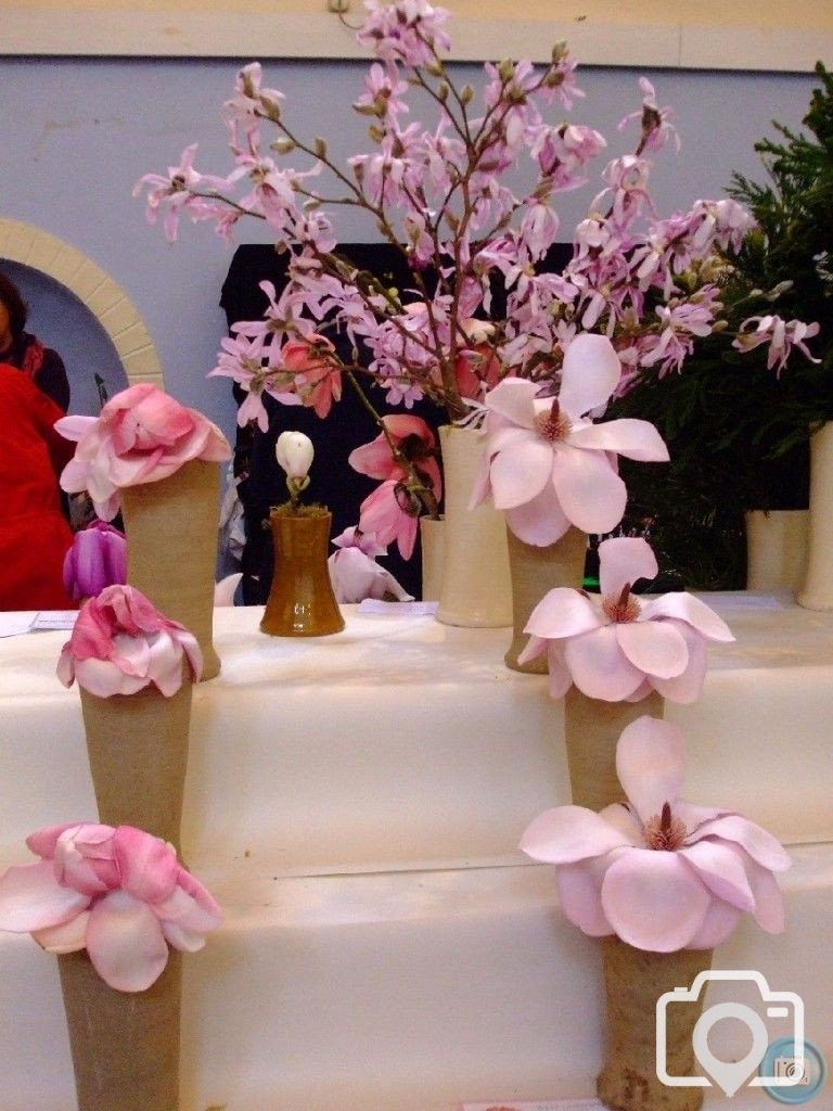 PENZANCE SPRING SHOW - 11-12th March, 2011