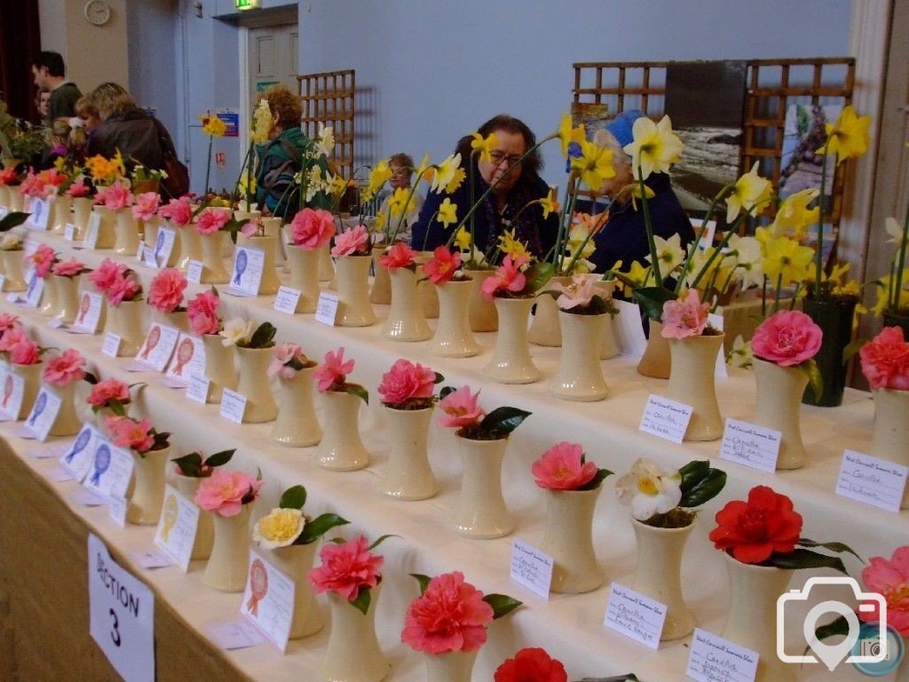 PENZANCE SPRING SHOW - 11-12th March, 2011