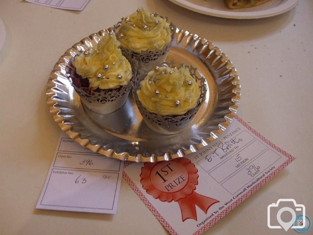 PENZANCE SPRING SHOW - 11-12th March, 2011