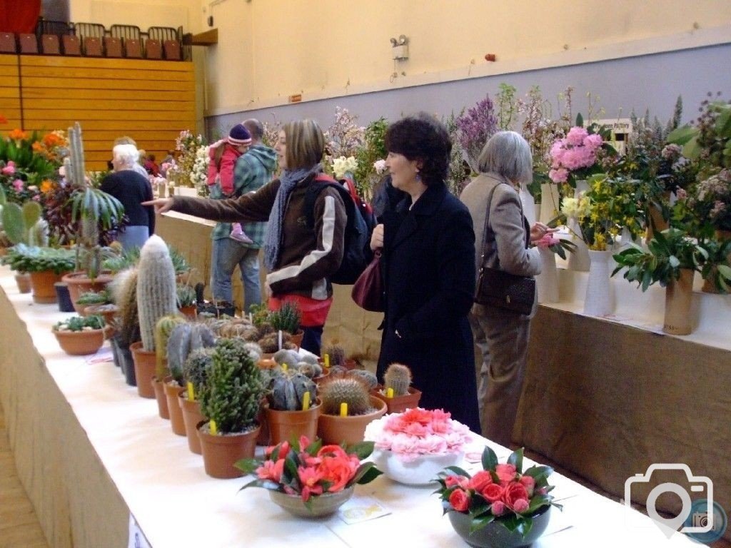 PENZANCE SPRING SHOW - 11-12th March, 2011