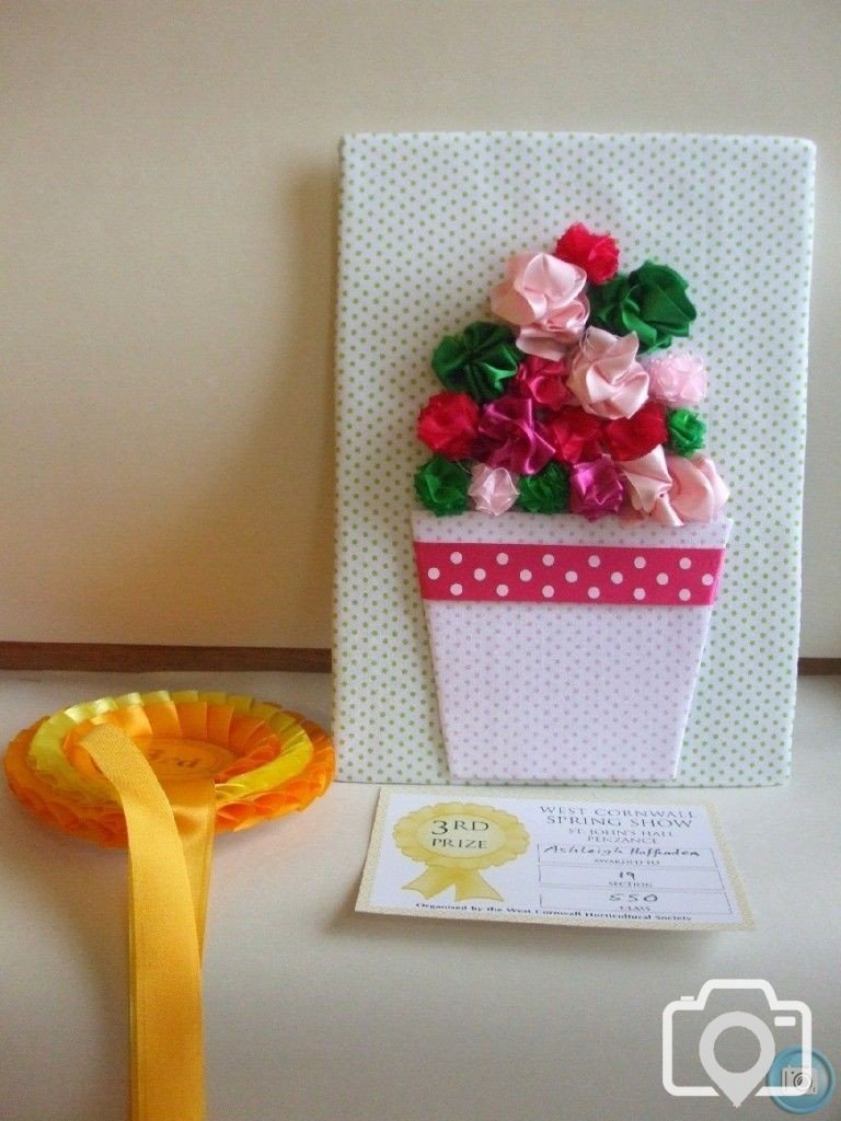 PENZANCE SPRING SHOW - 12MAR2011