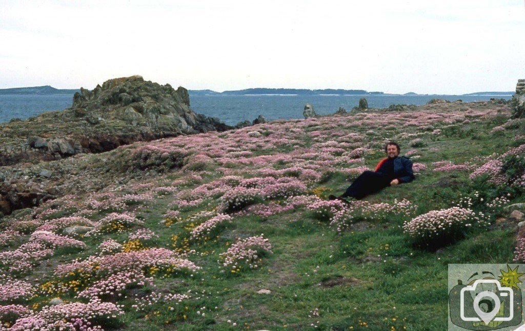 Phil lying among sea pinks, St Agnes, Scilly, June, 1977.