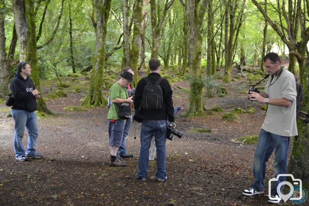 Photo shoot in Trevaylor woods 13 08 2012