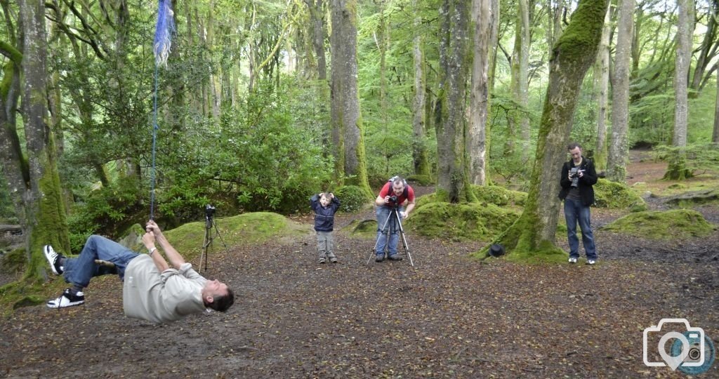 Photo shoot in Trevaylor woods 13 08 2012