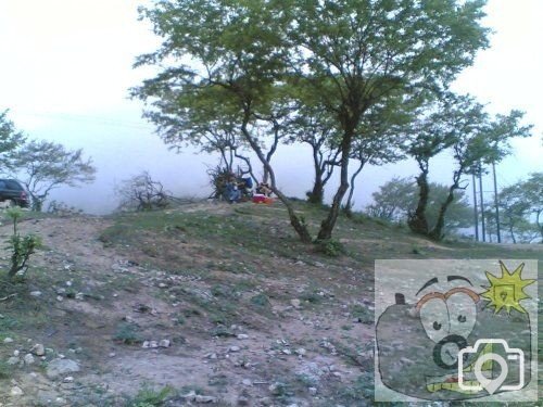 picnic