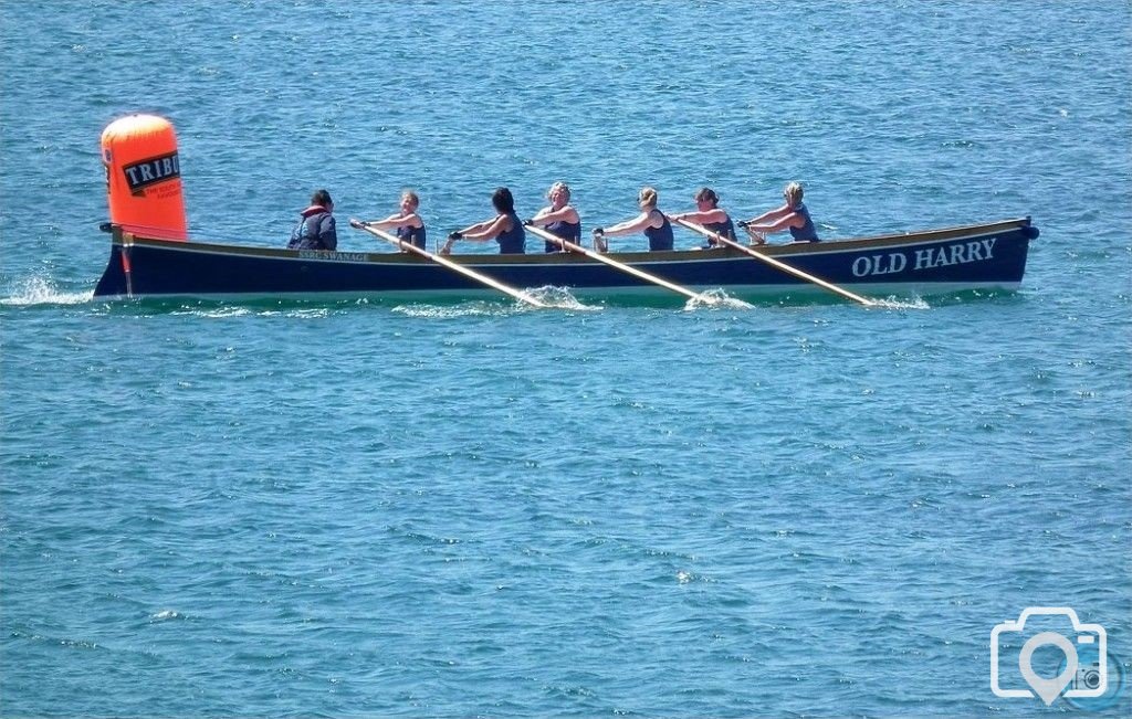 Pilot Gig Race - Falmouth