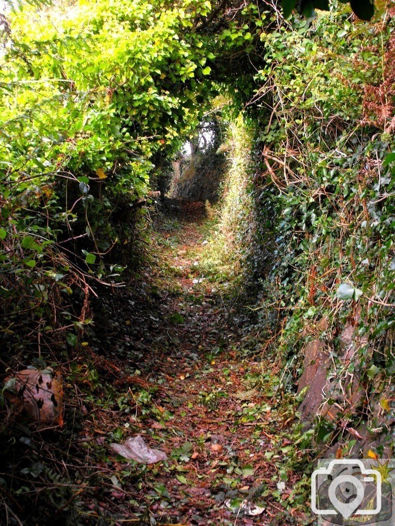Polmennor (1)