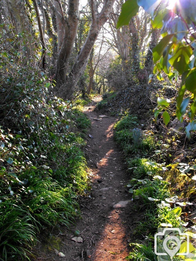Polmennor (2)