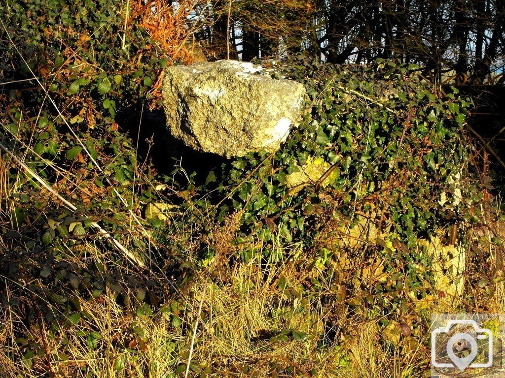 Polmennor (2)
