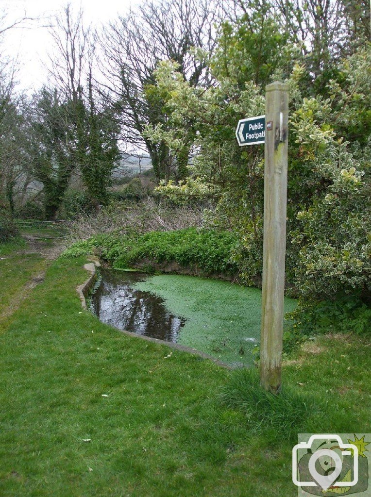 Pond - Tredavoe Village Green - 5April10