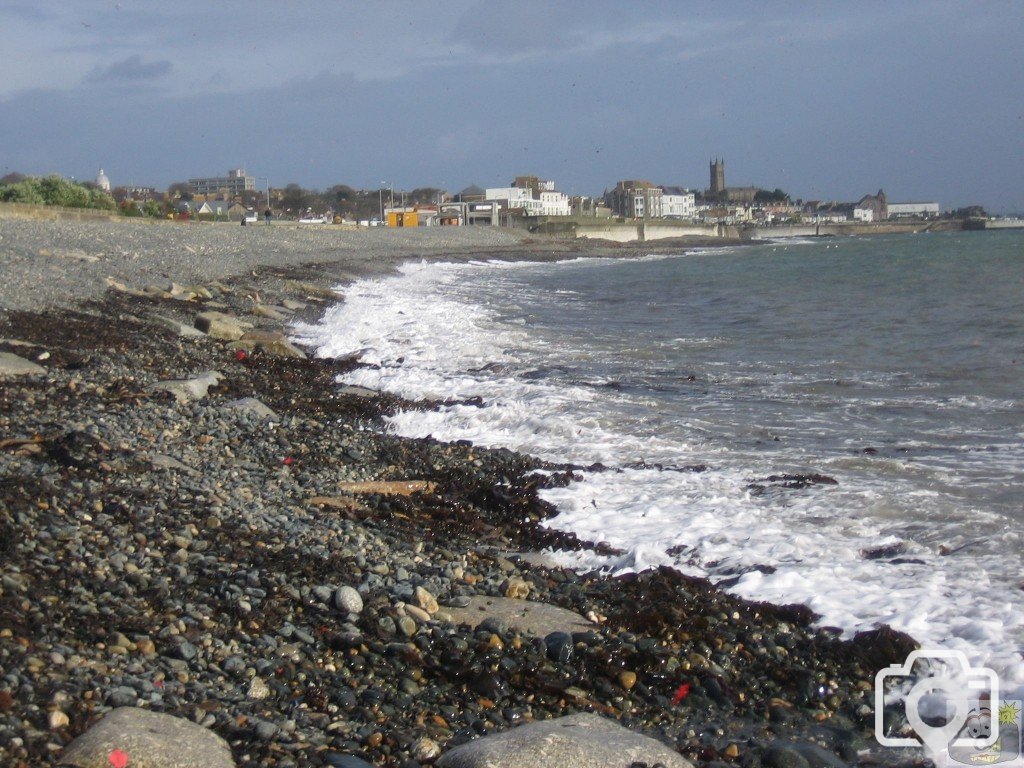 Poppies fall on Newlyn beach