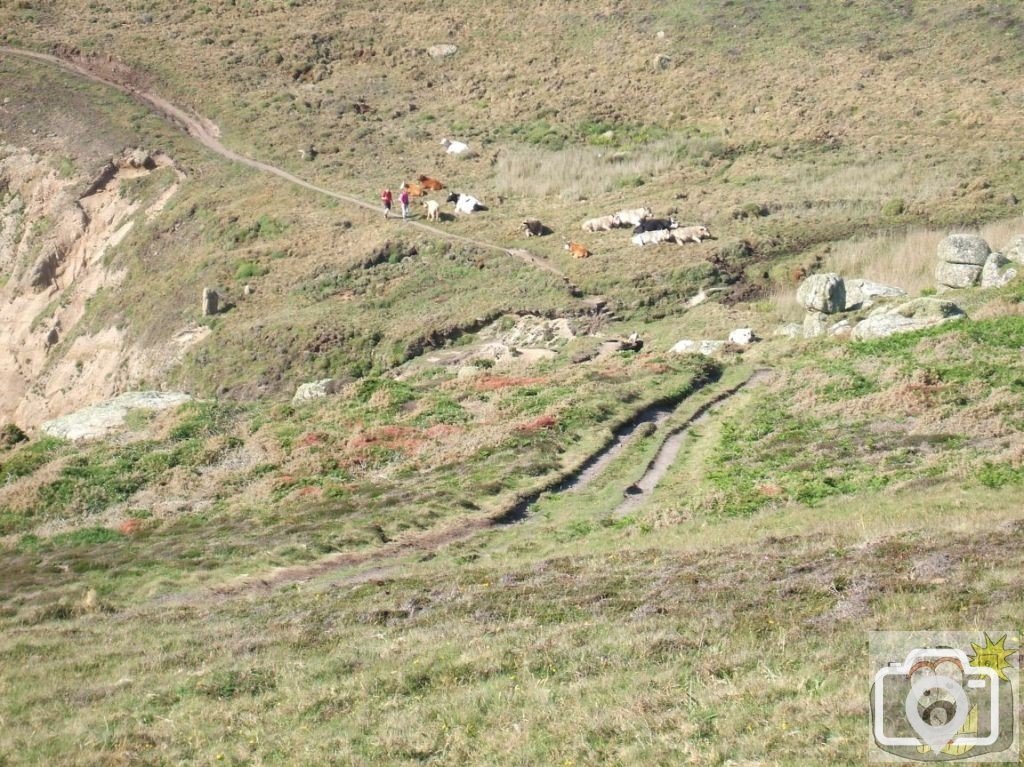 Porth Loe near Gwennap Head