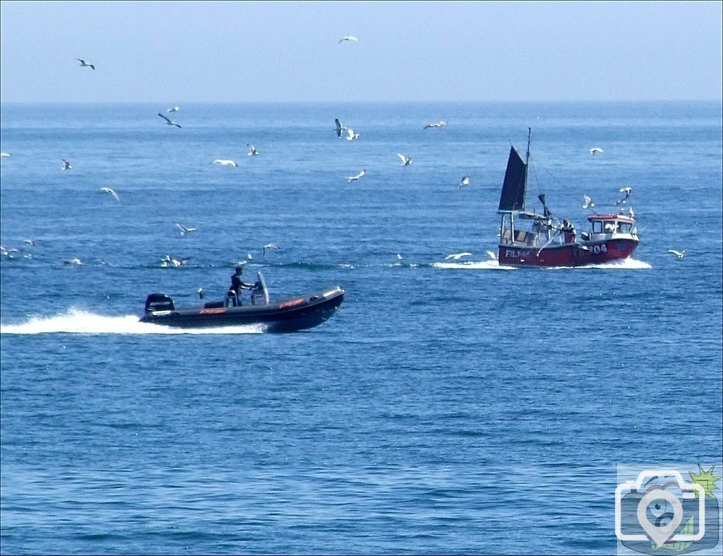 Power Boat P1 _Trials_03