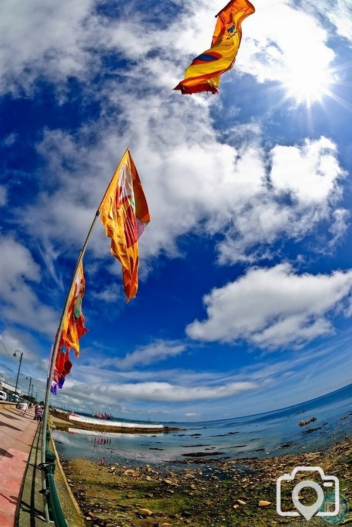 PROM FLAGS