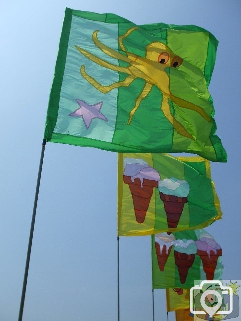 Promenade banners/flags